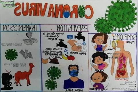 1582267081379571.jpg 图片 5.jpg